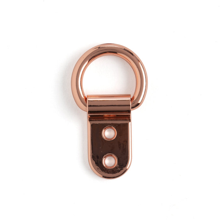 Solid Clip D-Ring