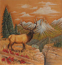 2007 Catalog Cover Linnell Elk