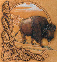 2009 Catalog Cover Linnell Bison