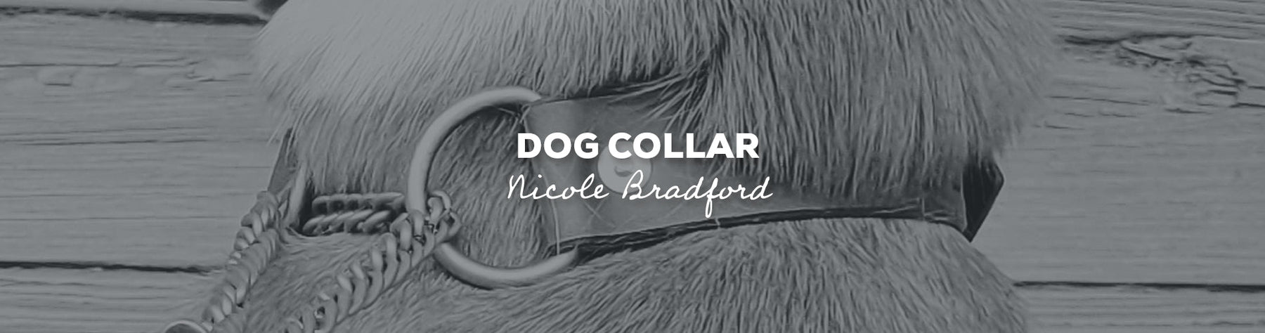 Gift Idea: Dog Collar with Nicole Bradford, Store #136