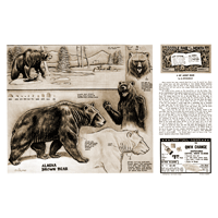 A Bit About Bears by Al Stohlman- Series 11 Page 1