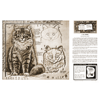 A Cat Portrait by Christine Stanley- Series 12 Page 6