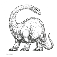 Apatosaurus Dinosaur Sketch