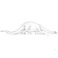 Brontosaurus Sketch