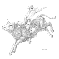 Bull Rider Sketch — Tandy Leather Canada