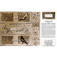 Colorado and Iowa Birds and Flowers by Al Stolman- Series 4B Page 6