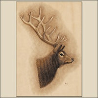 Elk Coloring How-To Tip Sheet from Tony's Bench