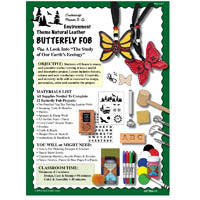 Environment Tooling Butterfly Shape Lesson Plan