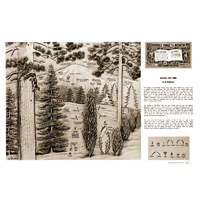 Making Pine Trees by Al Stohlman- Series 1B Page 11