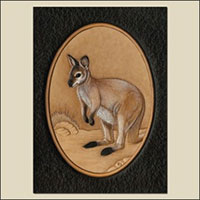 Matting & Framing a Wallaby How-To from Tony's Bench