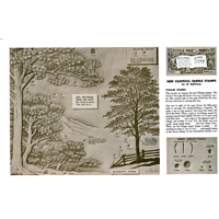 New Craftool saddle Stamps3 by Al Stohlman- Series 6B Page 7