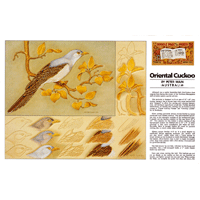 Oriental Cuckoo by Peter Main- Series 10D Page 10