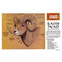 Rams Head by Peg Culpepper- Series 2E Page 4