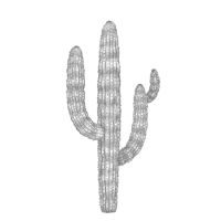 Saguaro Cactus Sketch