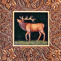 Sheridan Border Elk Design