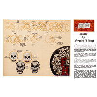 Skulls by Fredrick J. Hoyt- Series 1E Page 11