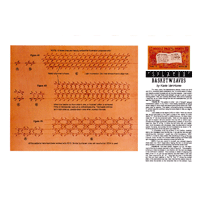 Splayed Basketweave by Karla Van Horne- Series 2E Page 7