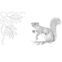 Squirrel and Oak Leaf Corner Patterns