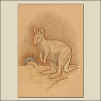 Tooling a Wallaby How-To from Tony's Bench