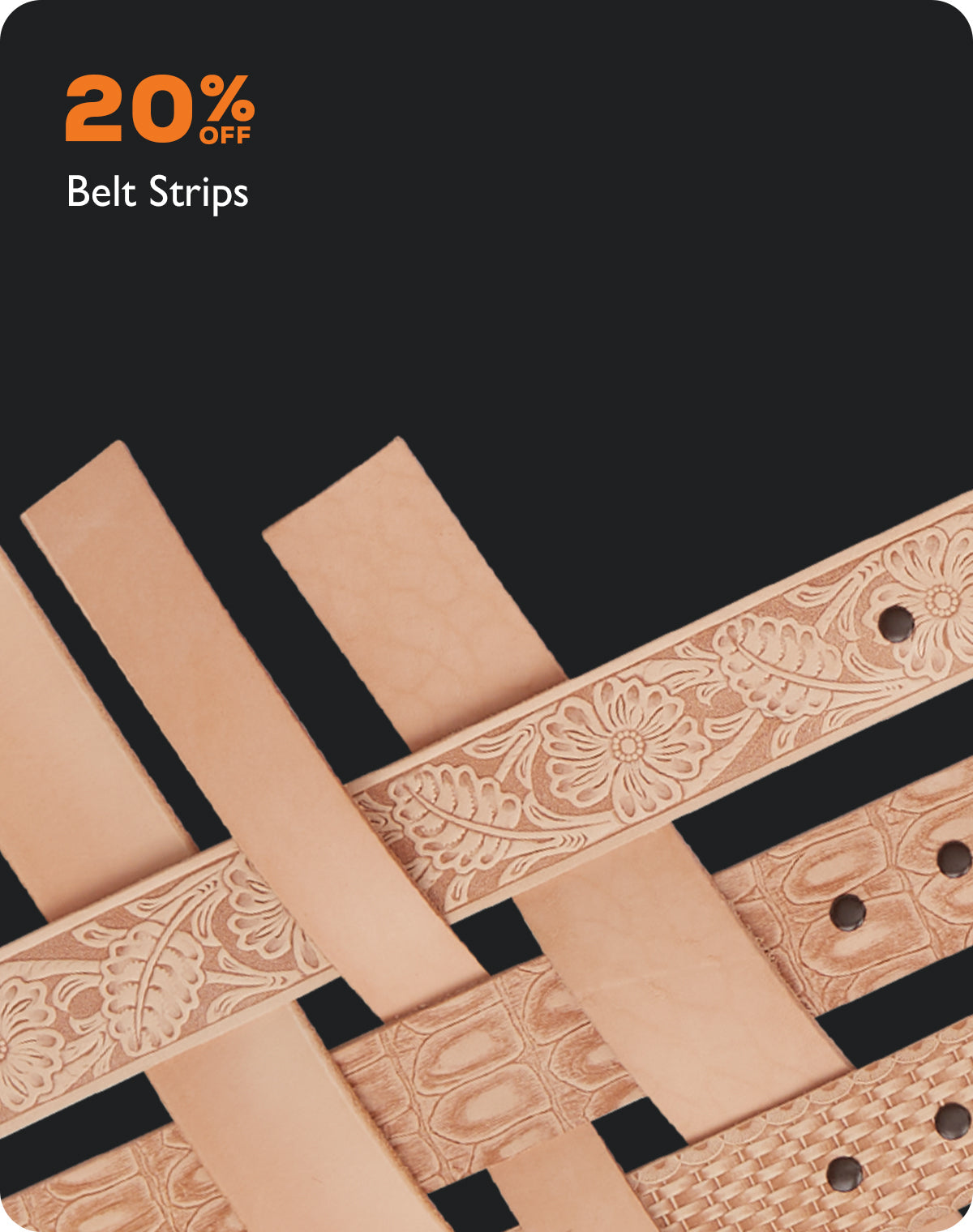 20% off Belt Strips