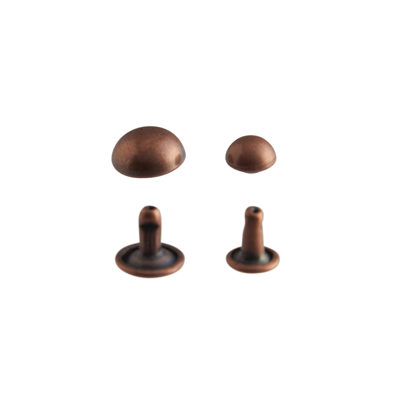 Lot de 100 rivets bombés