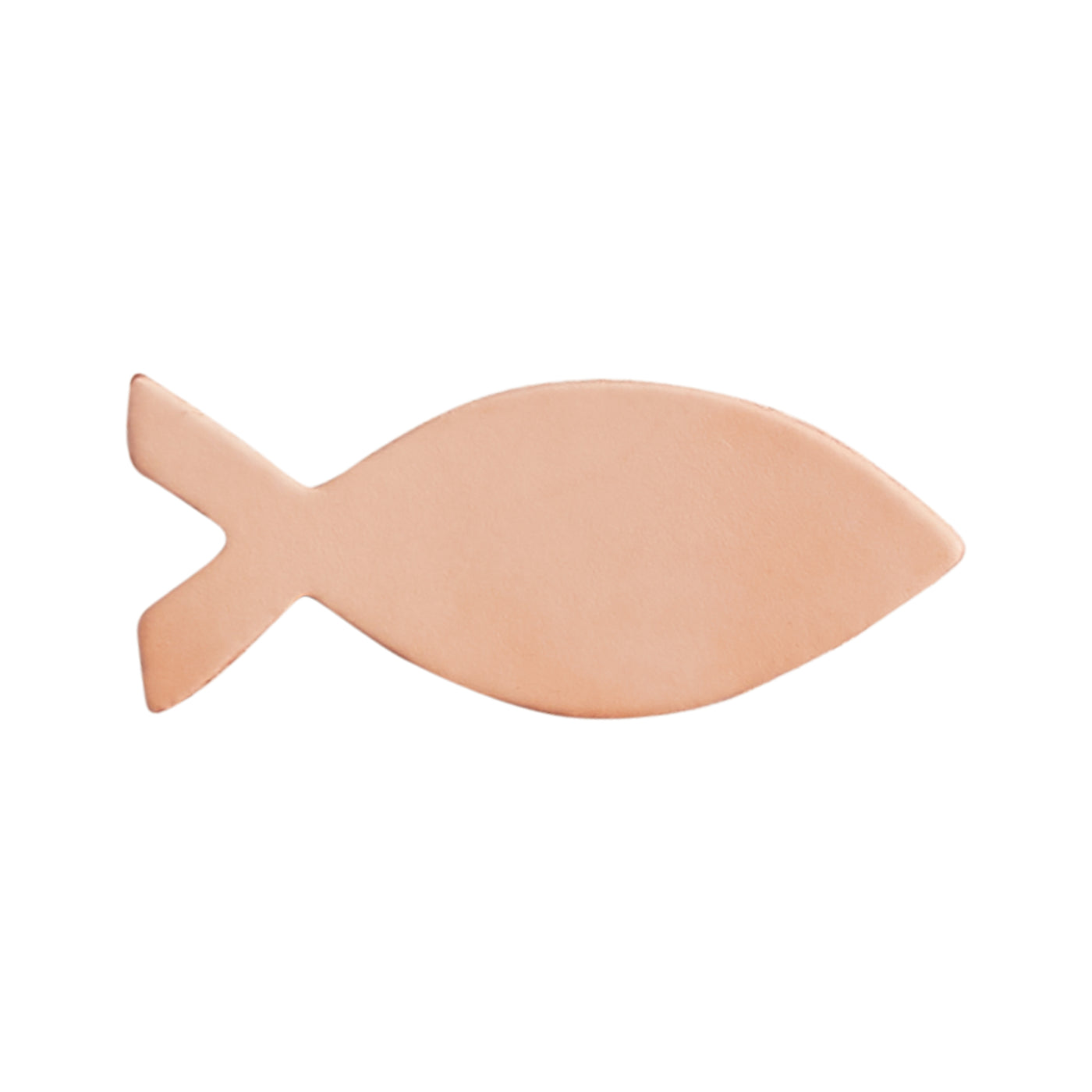 Great Shapes Fish 25 Pack — Tandy Leather Canada