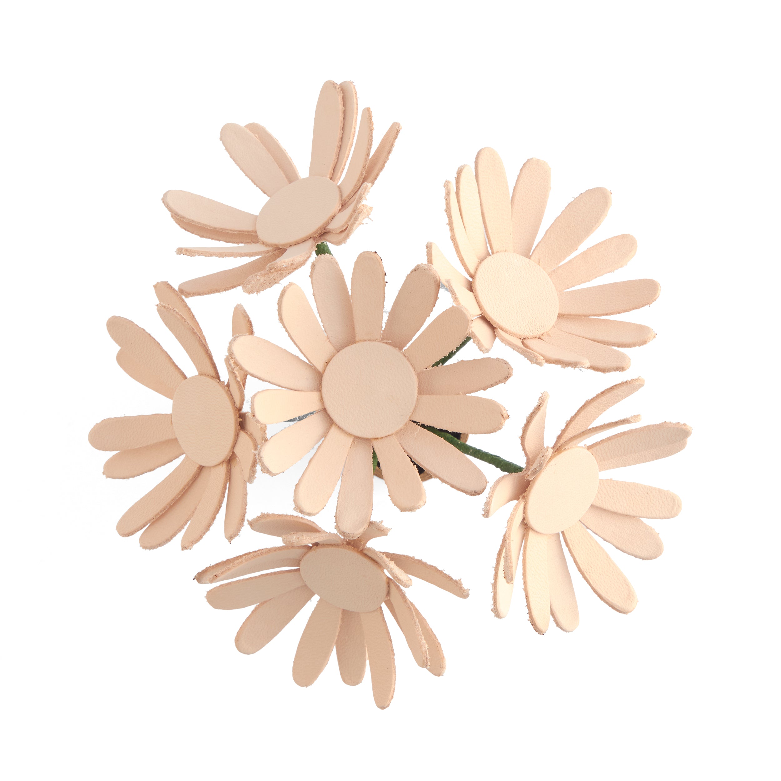 【for ★daisy★様】オーダー品 Daisy Kit 6 Pack | Tandy Leather — Tandy Leather Canada
