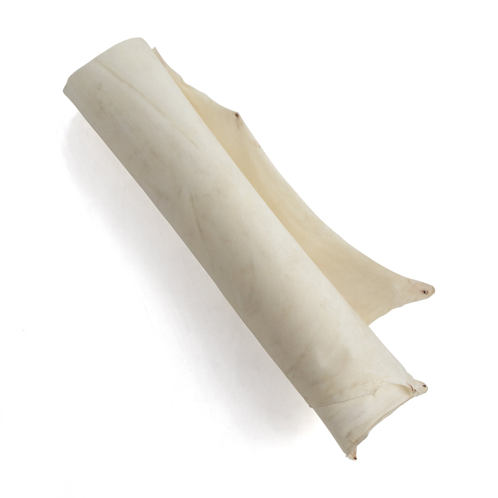 Rawhide Single Bend | Tandy Leather — Tandy Leather Canada Rawhide Single Bend | Tandy Leather — Tandy Leather Canada