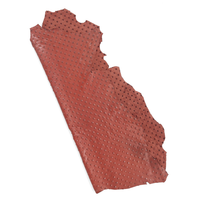 Gladiator Embossed Goatskin - FINAL SALE