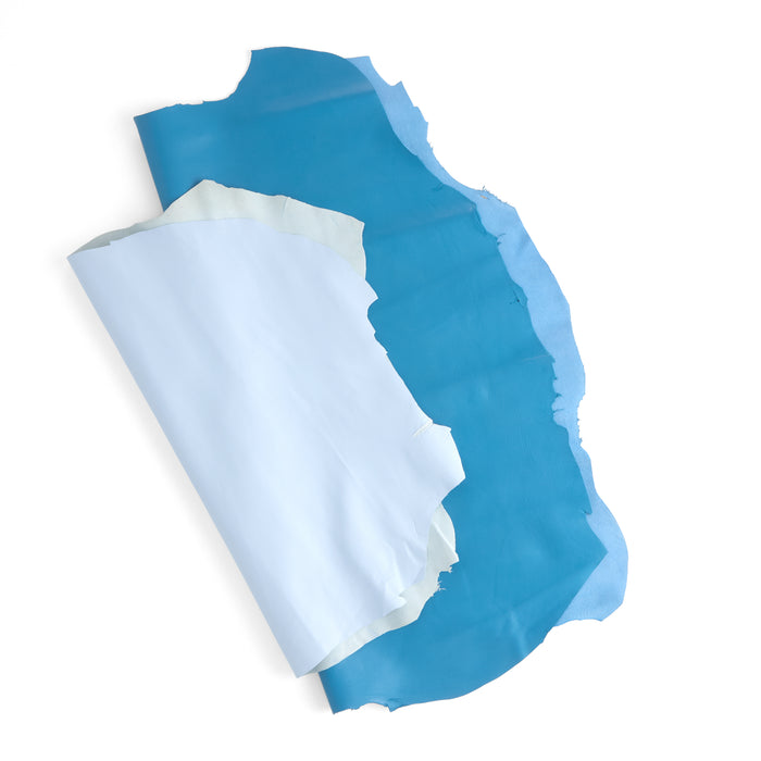 Designer Small Skin Assorted Blue