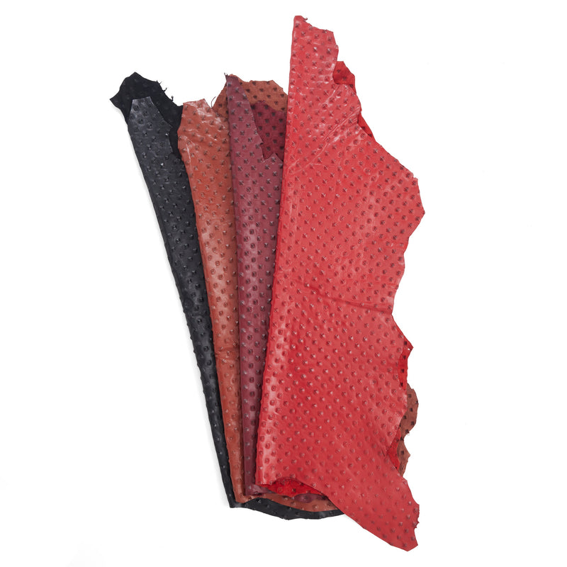 Gladiator Embossed Goatskin - FINAL SALE