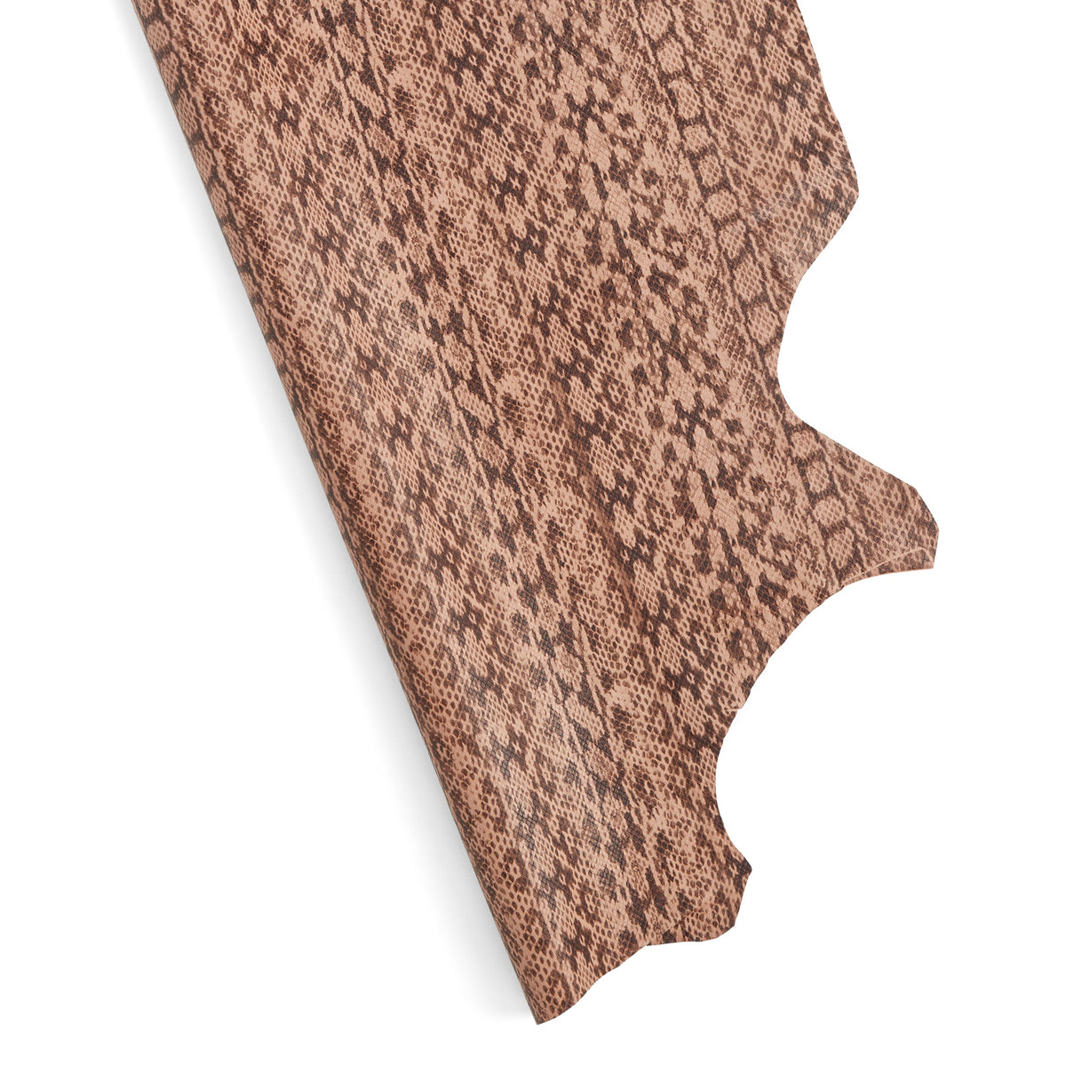 Designer Small Skin Snake Print — Tandy Leather Canada