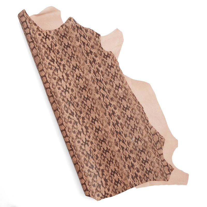 Designer Small Skin Snake Print
