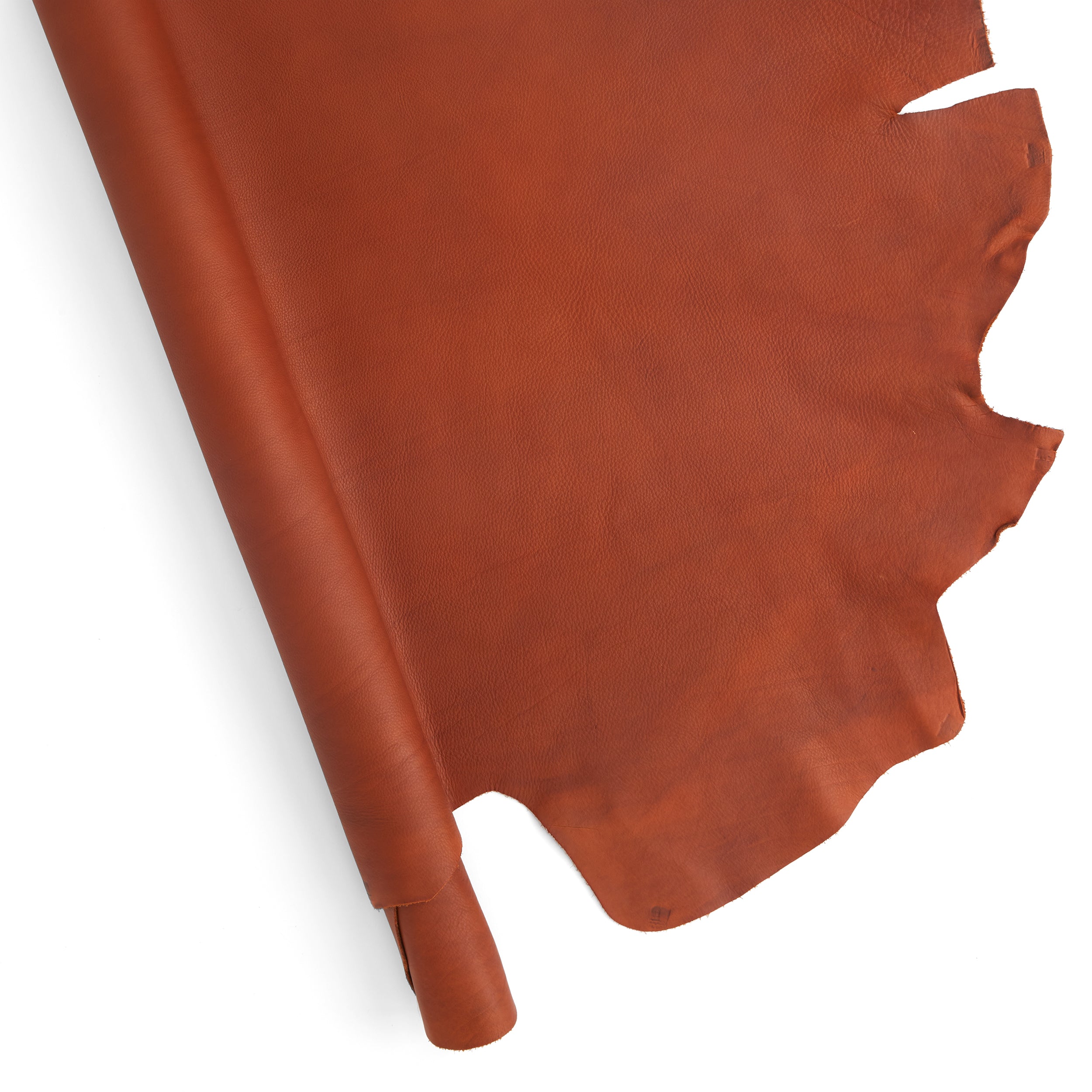 Vibrant Dyed Veg-Tan Double Shoulder | Tandy Leather — Tandy
