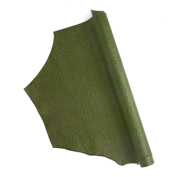Ostrich Embossed Single Shoulder