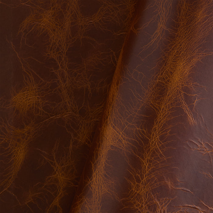 Double Shoulder Oryx