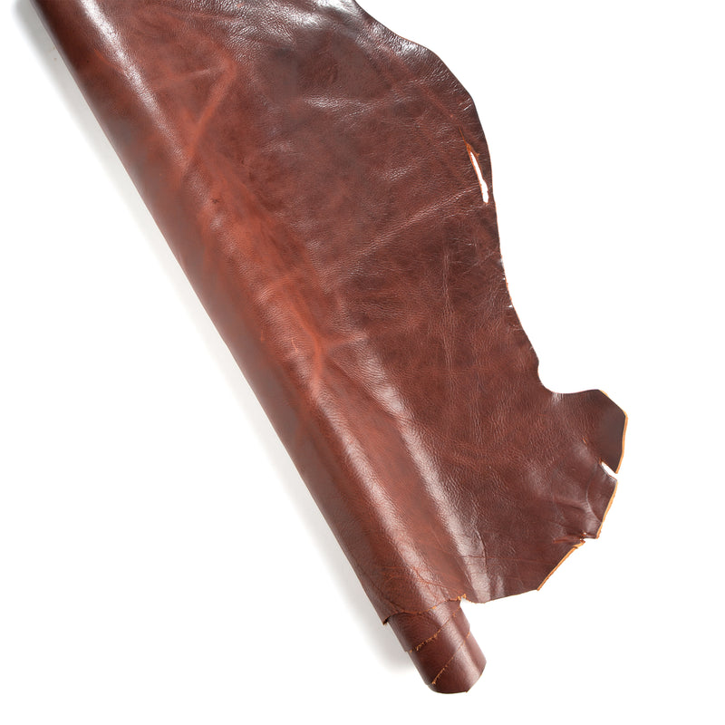 Lado de bronceado vegetal de Montana