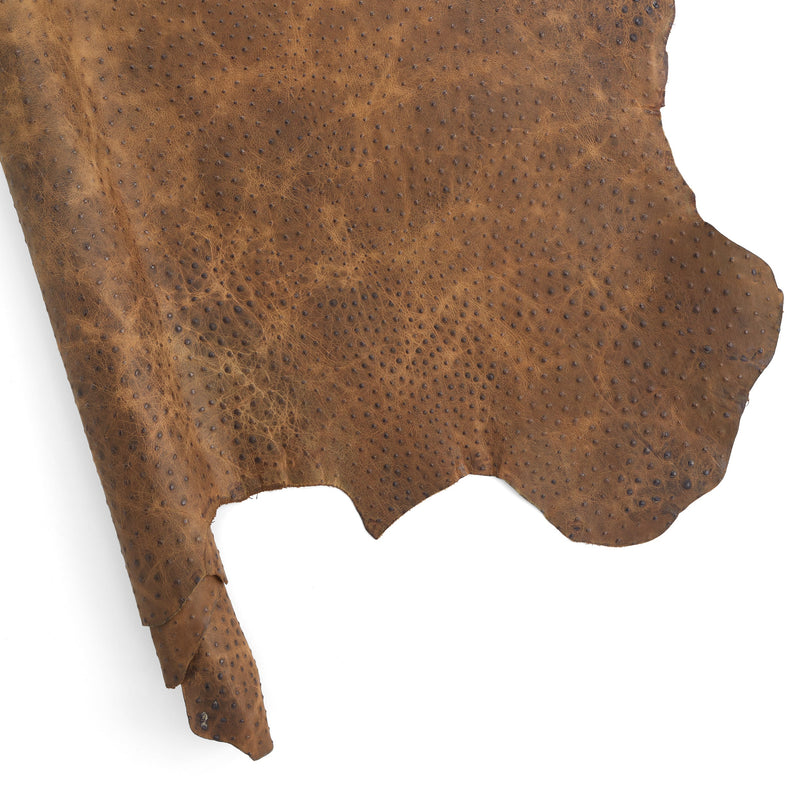 Ostrich Embossed Side