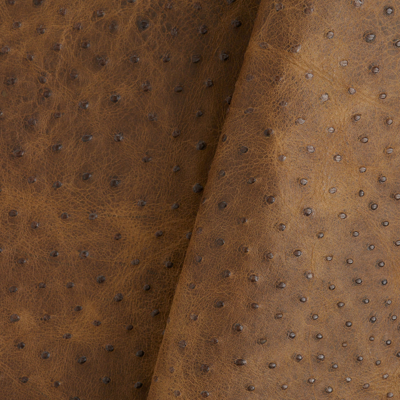 Ostrich Embossed Side