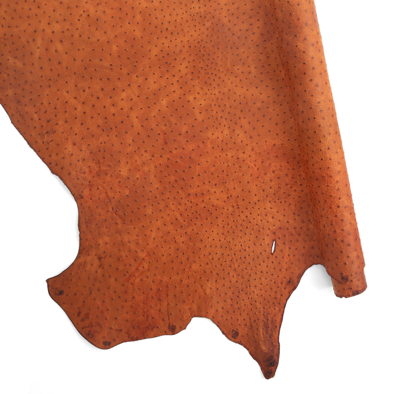 Ostrich Embossed Side
