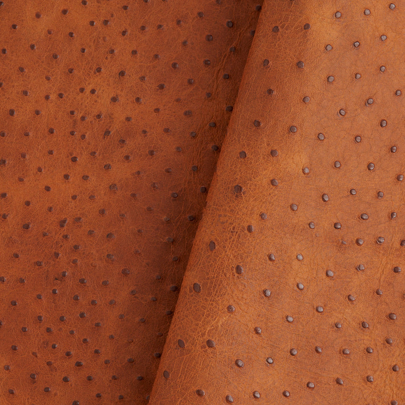 Ostrich Embossed Side