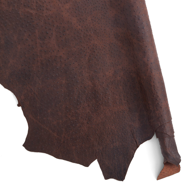 Ostrich Embossed Side