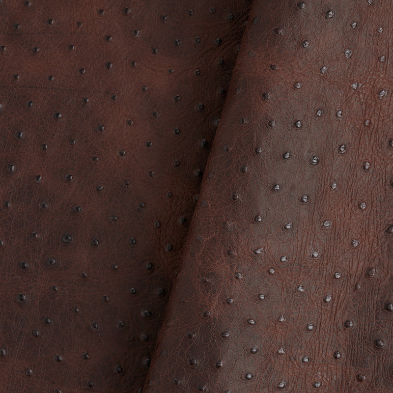 Ostrich Embossed Side