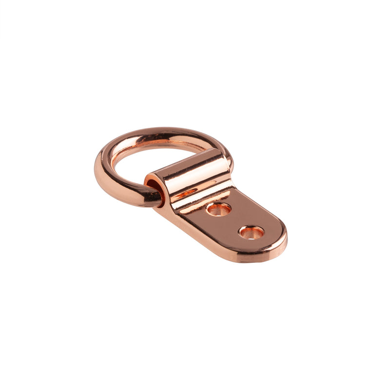 Solid Clip D-Ring