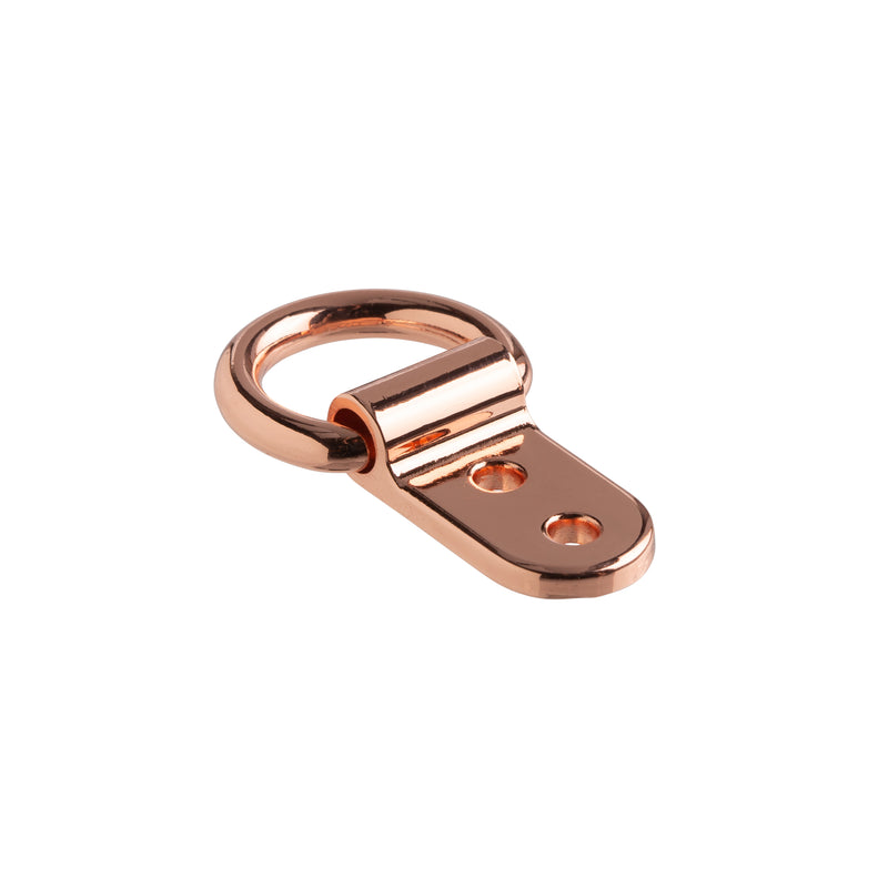 Solid Clip D-Ring