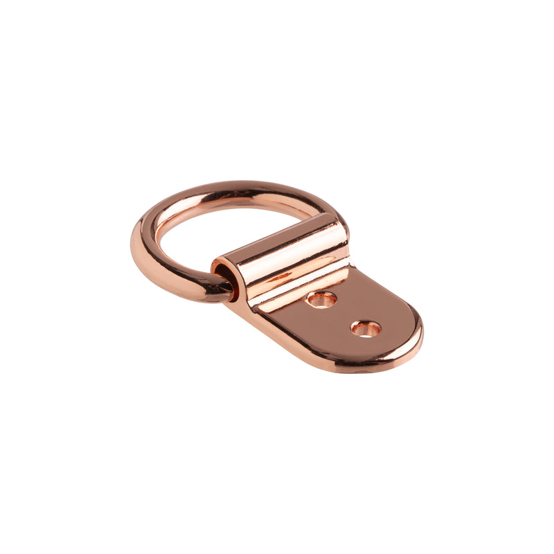 Solid Clip D-Ring