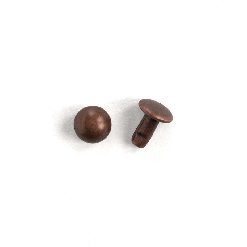 Lot de 100 rivets bombés