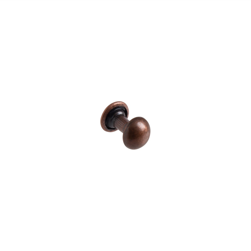 Lot de 100 rivets bombés
