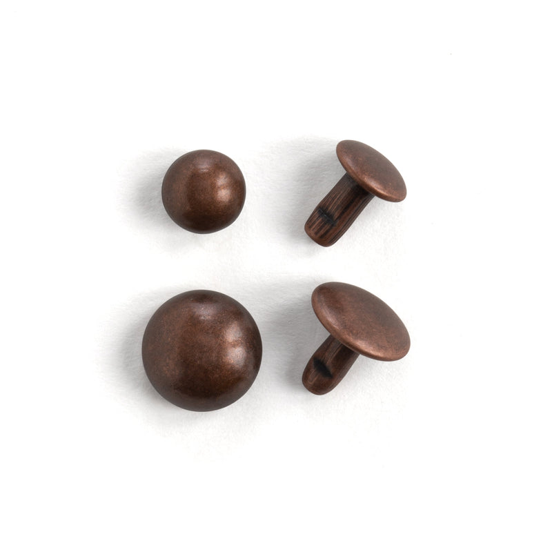Lot de 100 rivets bombés
