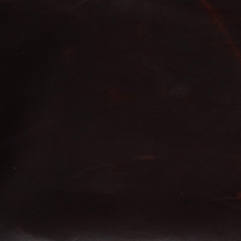 Peau entière de l'Arizona